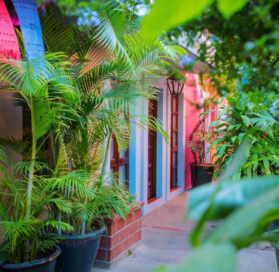 Hotel Las Golondrinas Oaxaca Exterior photo