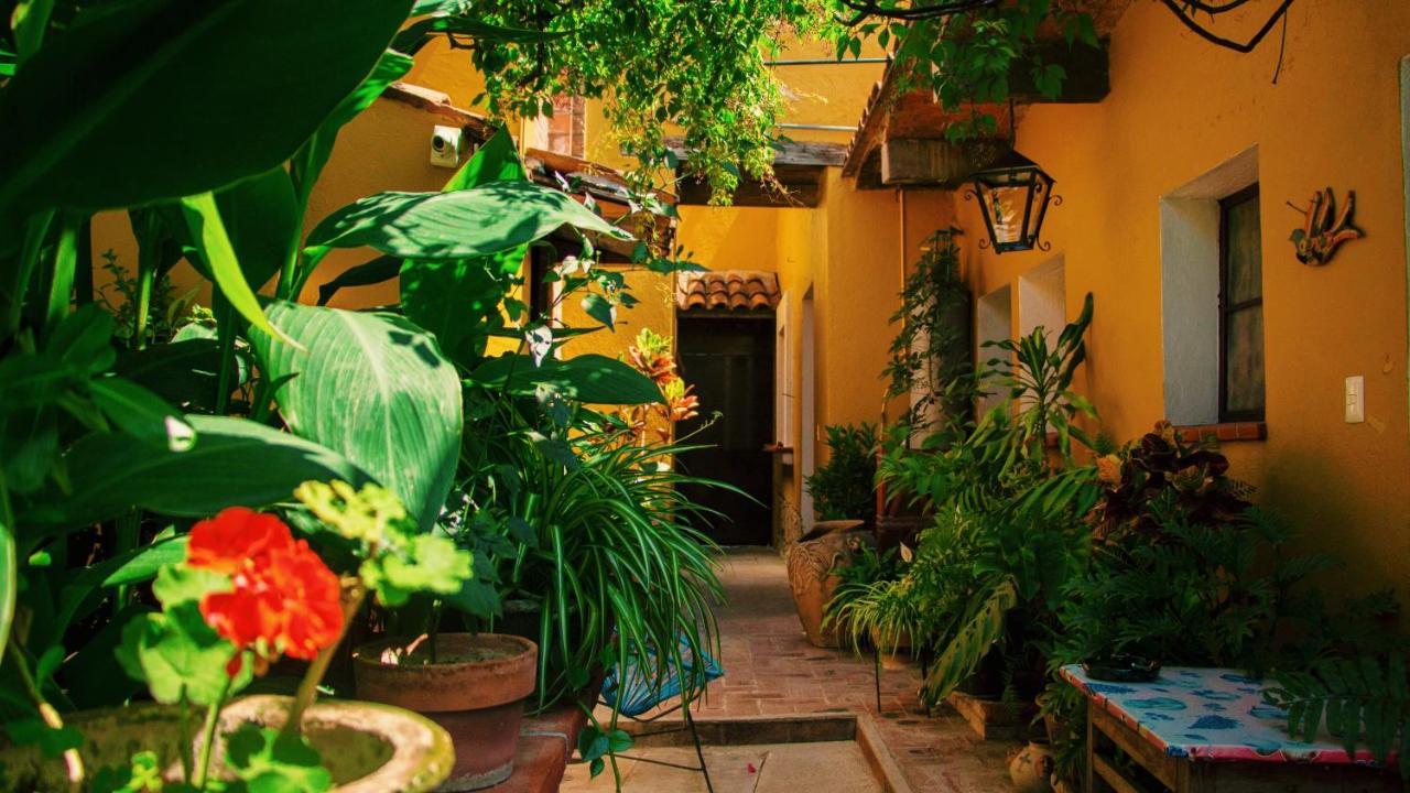 Hotel Las Golondrinas Oaxaca Exterior photo