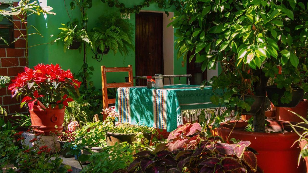 Hotel Las Golondrinas Oaxaca Exterior photo