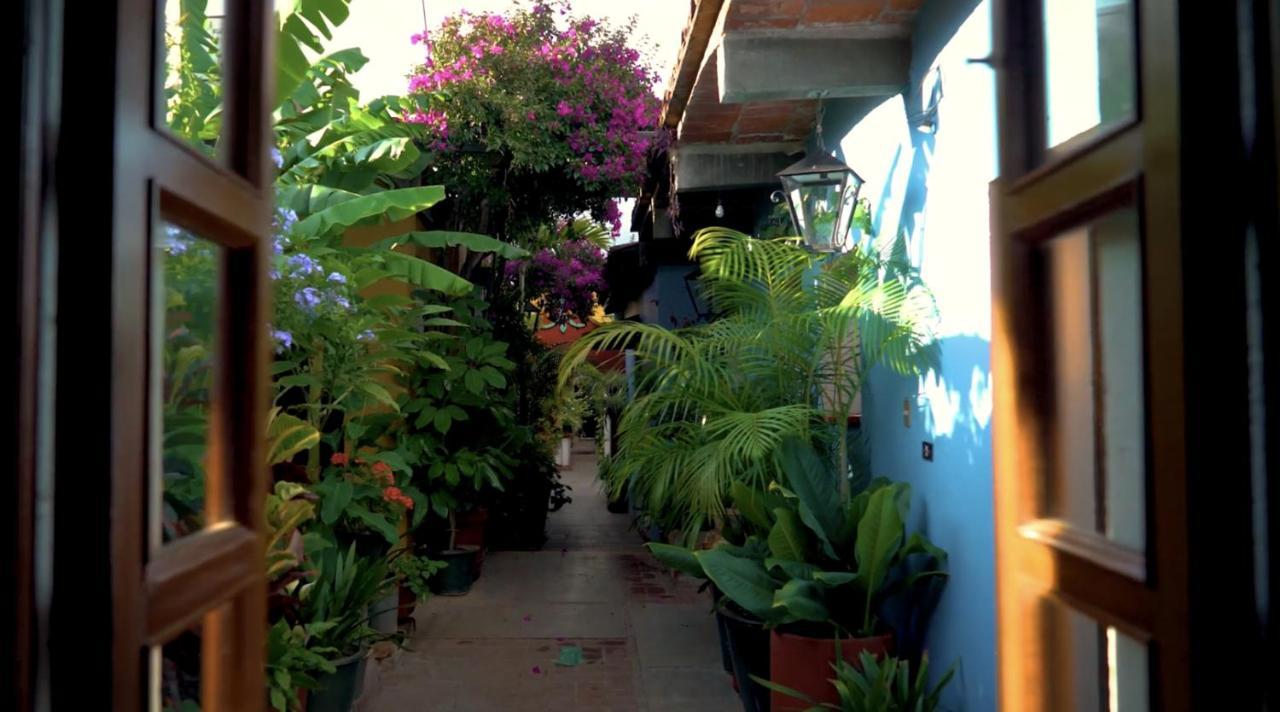 Hotel Las Golondrinas Oaxaca Exterior photo