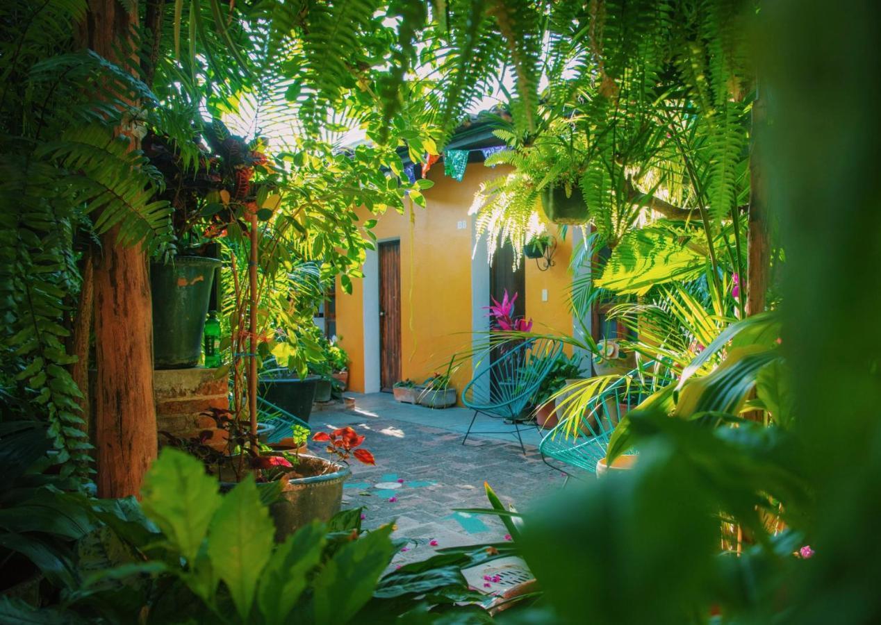 Hotel Las Golondrinas Oaxaca Exterior photo