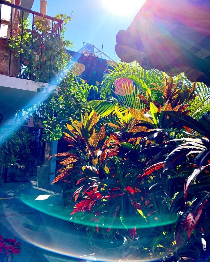 Hotel Las Golondrinas Oaxaca Exterior photo