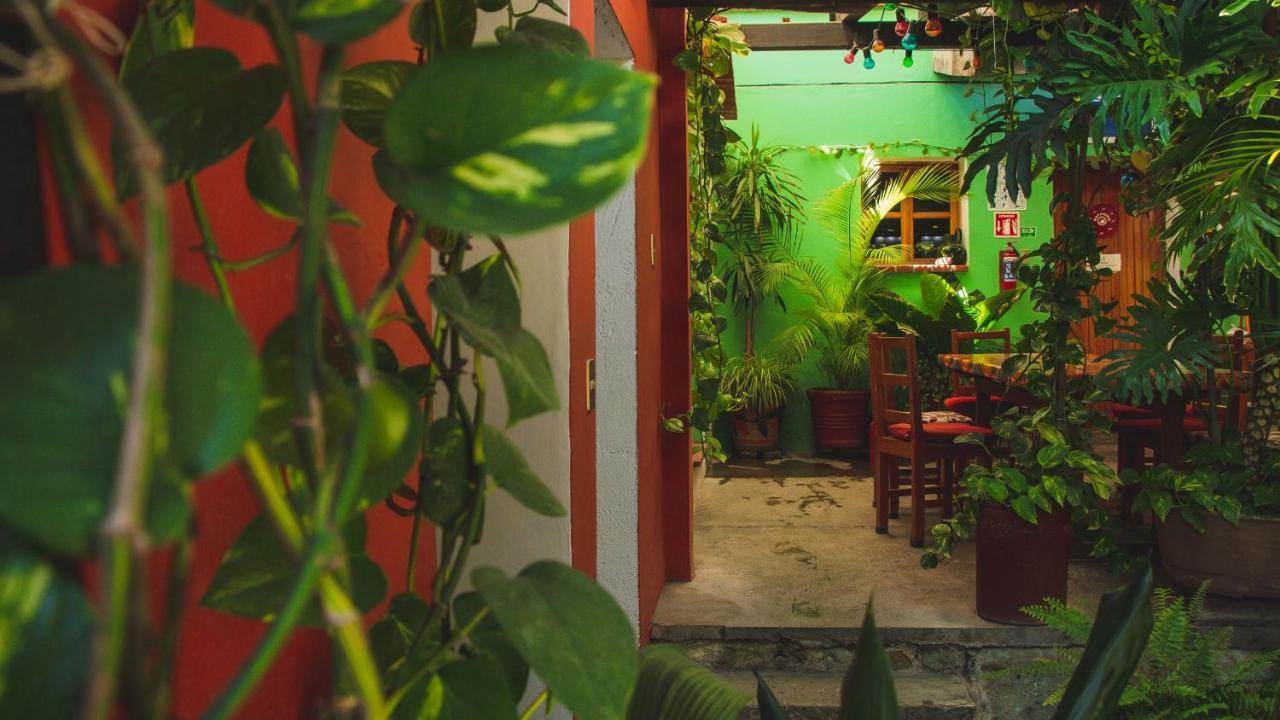 Hotel Las Golondrinas Oaxaca Exterior photo