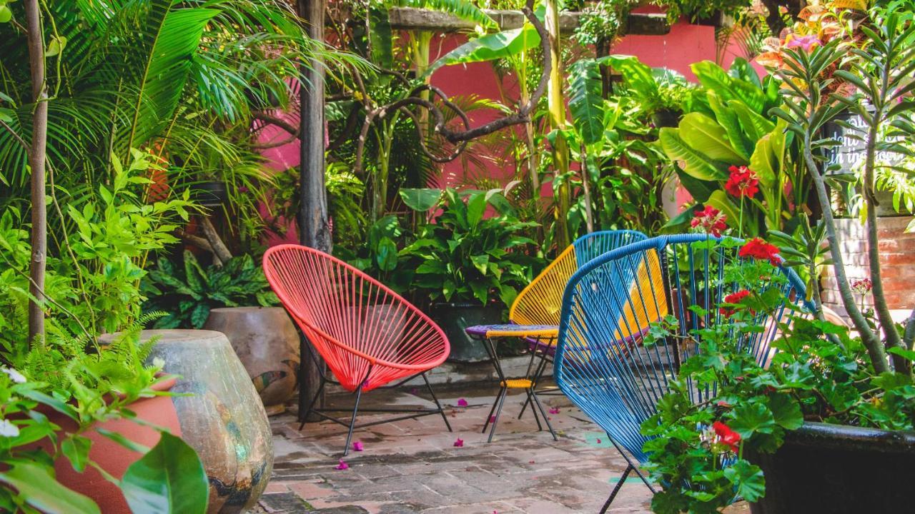 Hotel Las Golondrinas Oaxaca Exterior photo