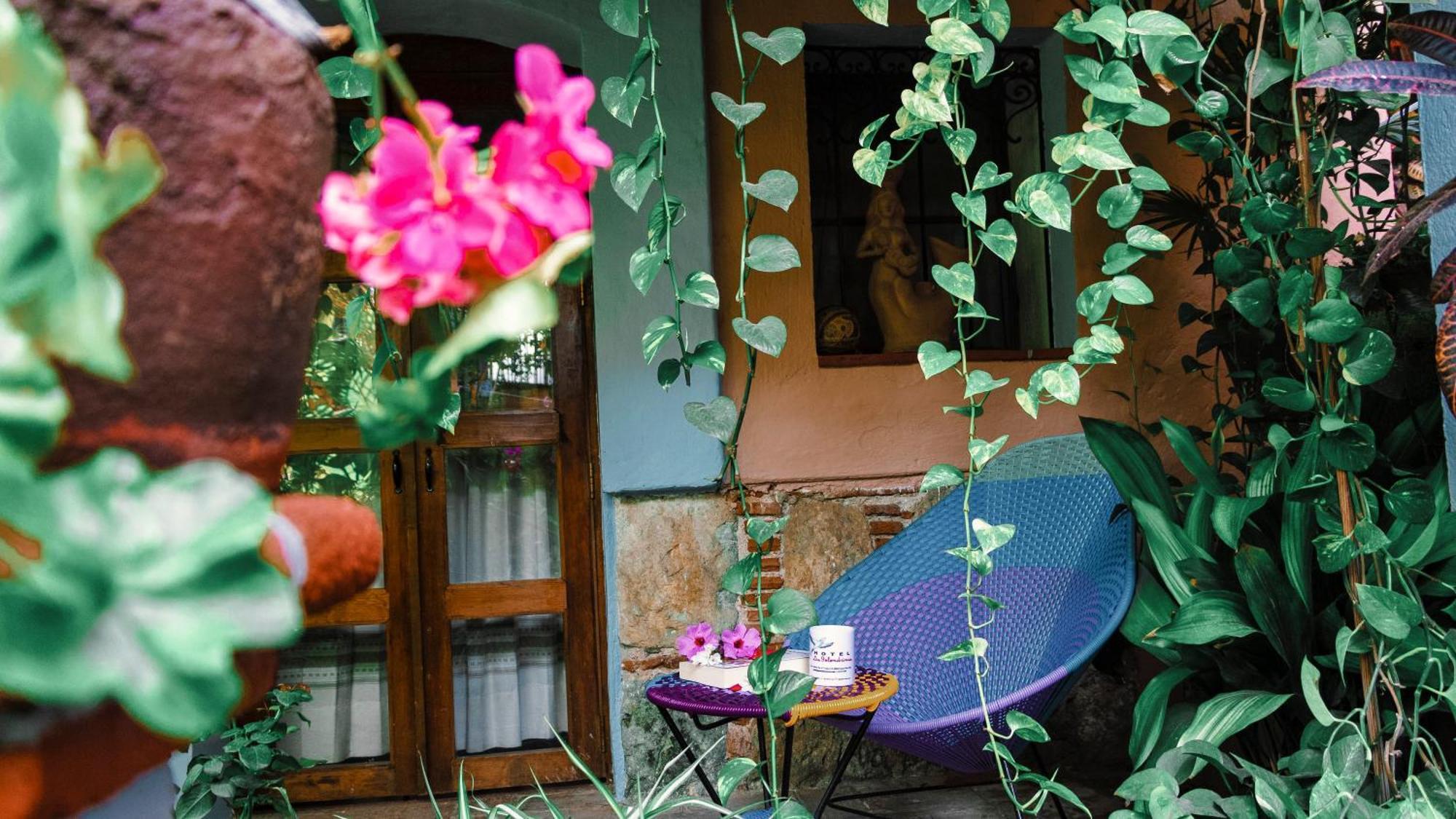 Hotel Las Golondrinas Oaxaca Exterior photo