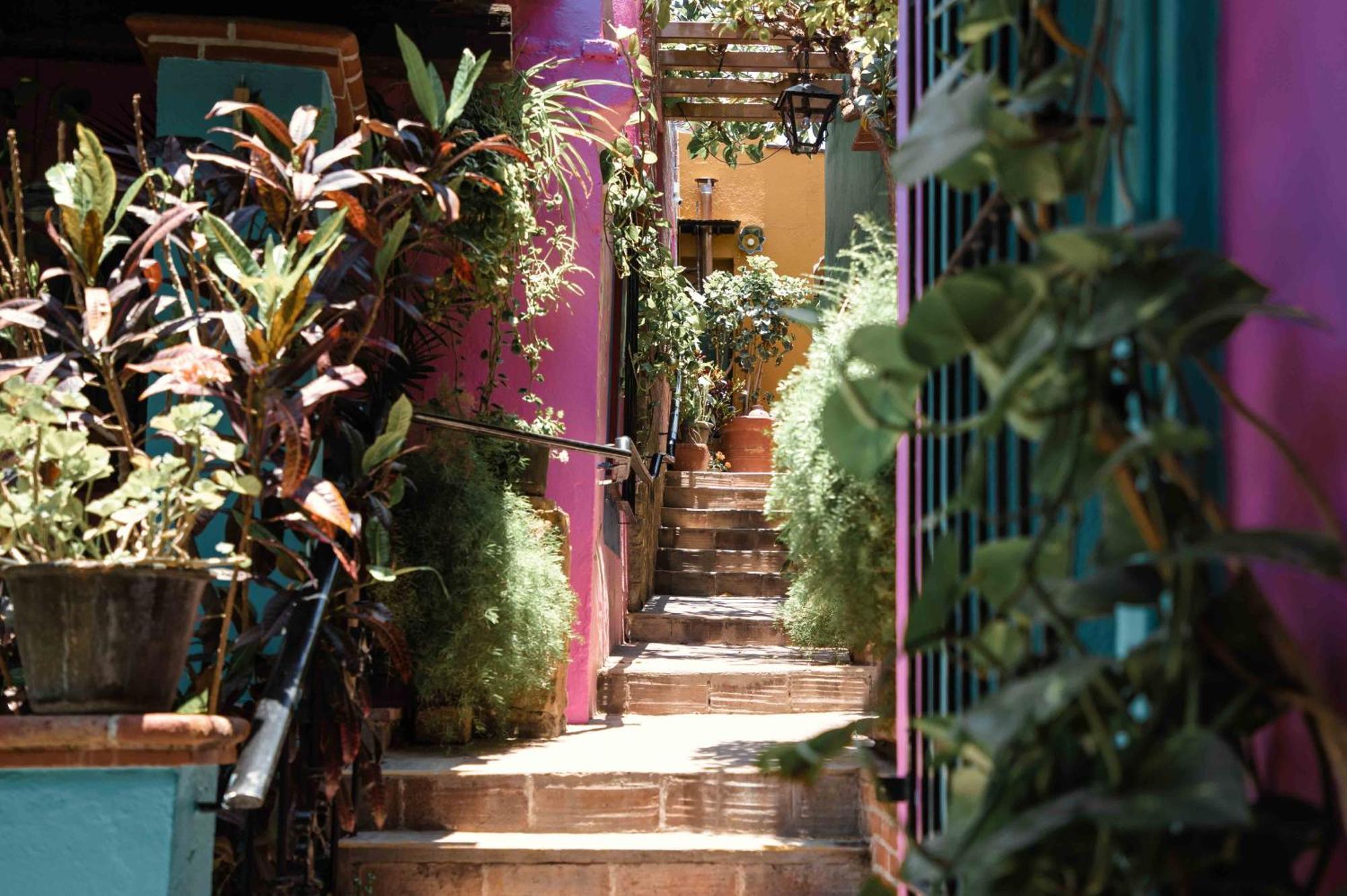 Hotel Las Golondrinas Oaxaca Exterior photo