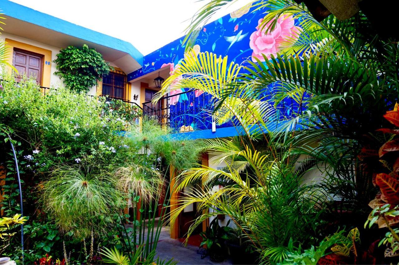 Hotel Las Golondrinas Oaxaca Exterior photo