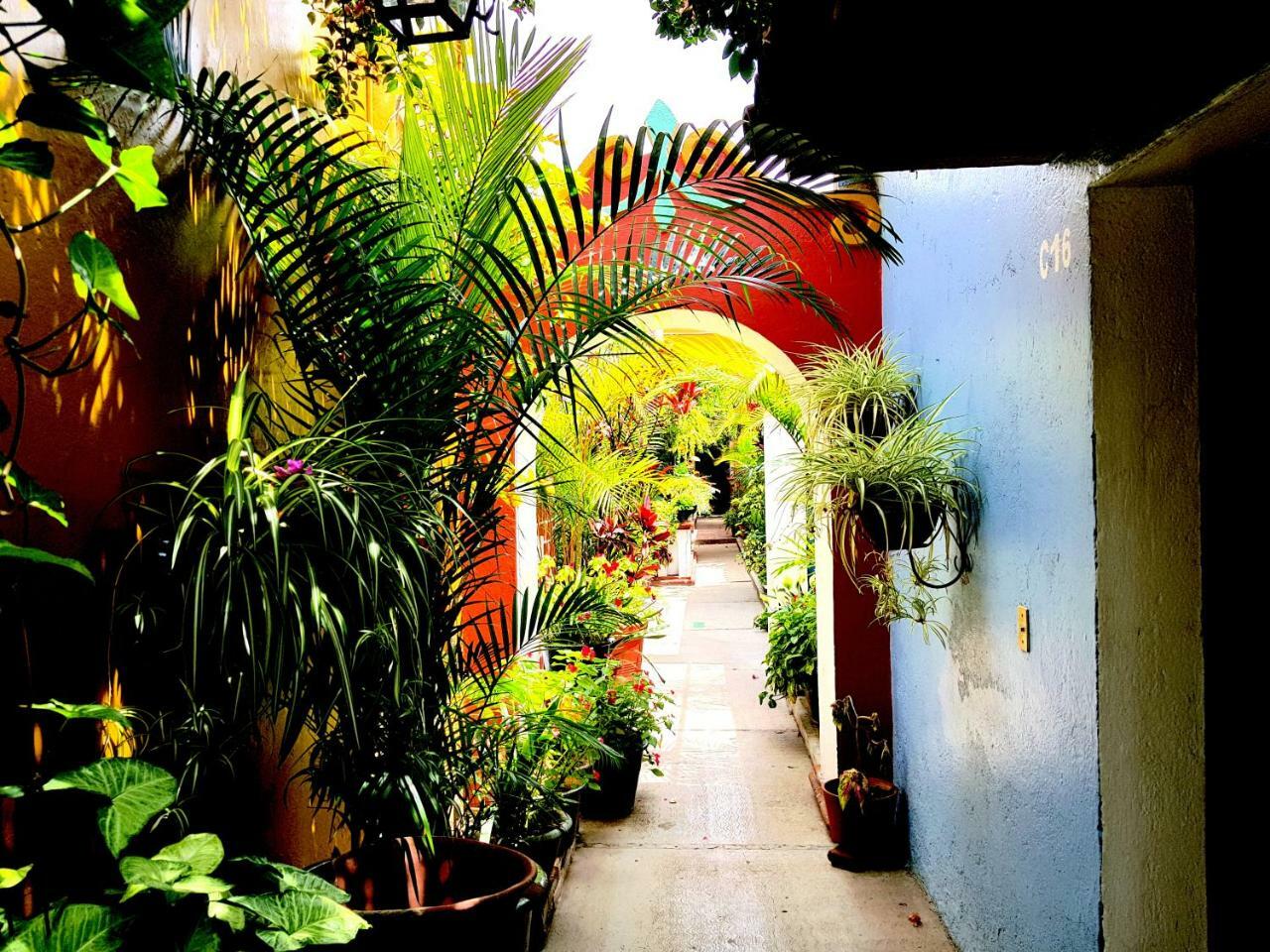 Hotel Las Golondrinas Oaxaca Exterior photo